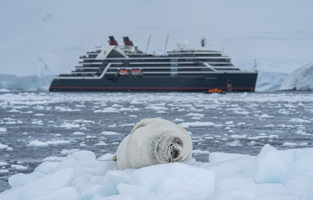 Cruise Image