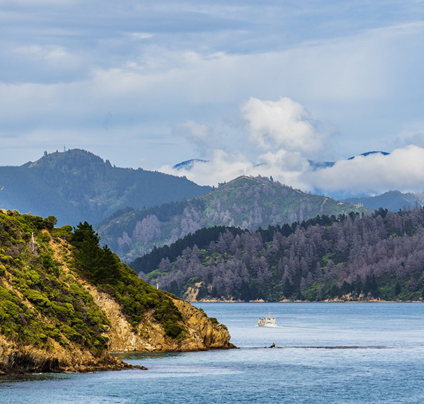 Cruises By Destination
